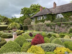 Berberis-Orange-Rocket-Wisley-004