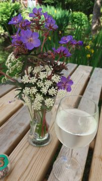 Vase-Geranium-Storm-Cloud