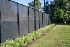 Salvia-VIBE-Ignition-White-001_23_Z8P0750