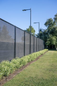 Salvia-VIBE-Ignition-White-002_23_Z8P0751