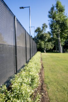 Salvia-VIBE-Ignition-White-004_23_Z8P0761